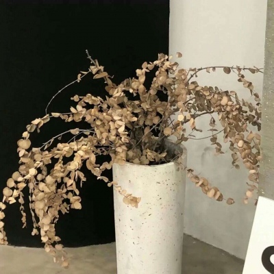 利津福瑞交流群